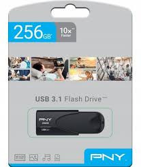 PNY USB 3.1 Flash Drive 256GB